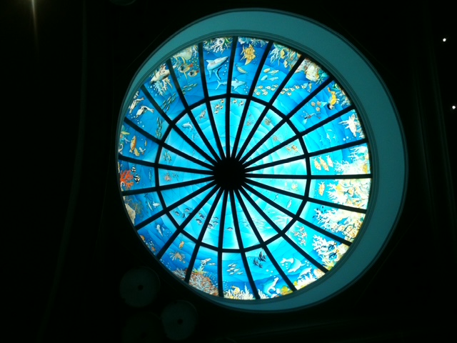 Stadia Live Moment blue circular window