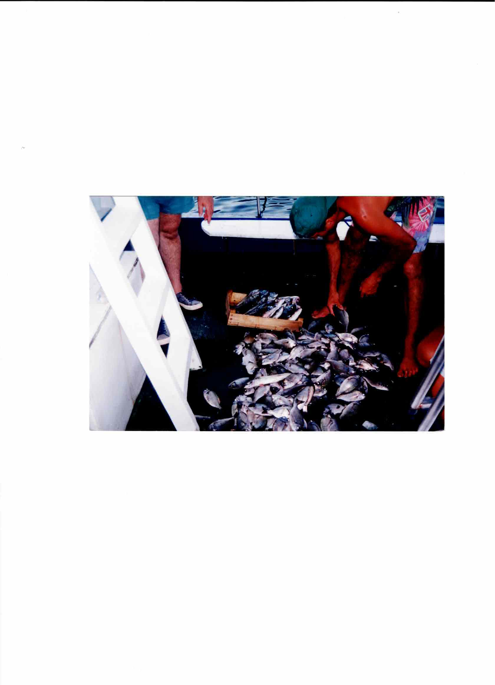Fulvio and Pietro Billeci arranging the catch in wooden crates after returning from the offshore shoals